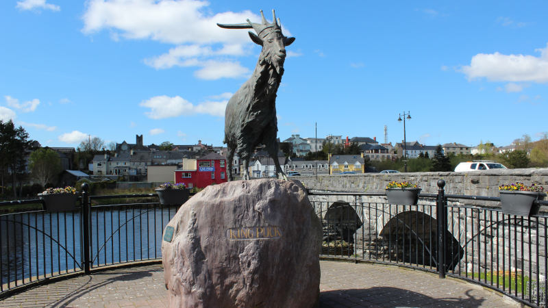 Muckross House Killarney